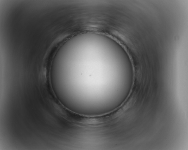 X0000089851402200707121709