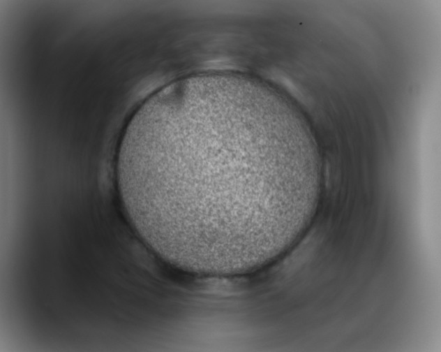 X0000089851405200707121709