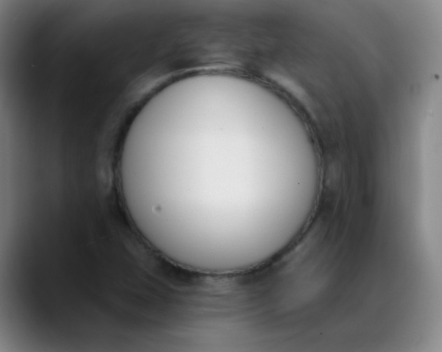 X0000089851407200707121709