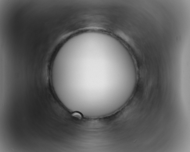 X0000089851408200707121709