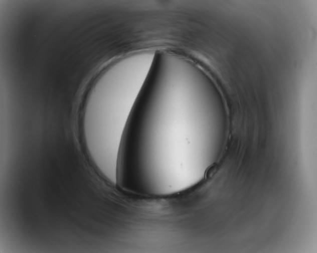 X0000089851410200707121709