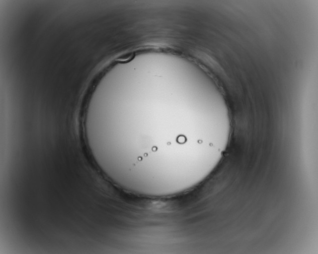 X0000089851412200707121709