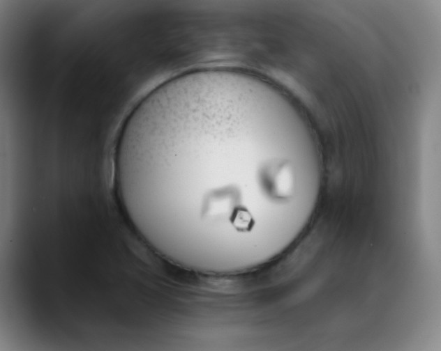 X0000089851413200707121709