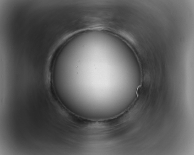 X0000089851414200707121709