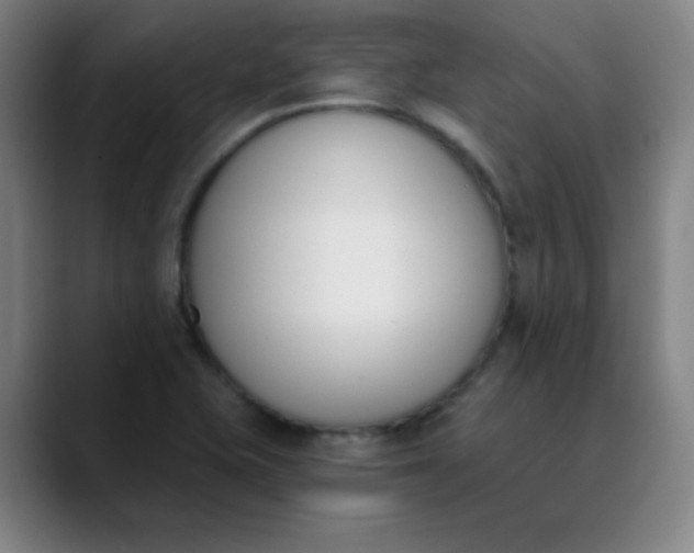 X0000089851415200707121709