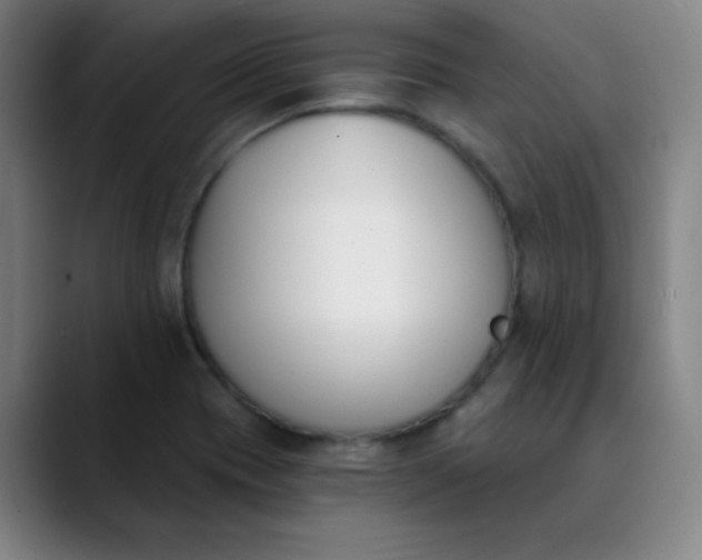 X0000089851417200707121709