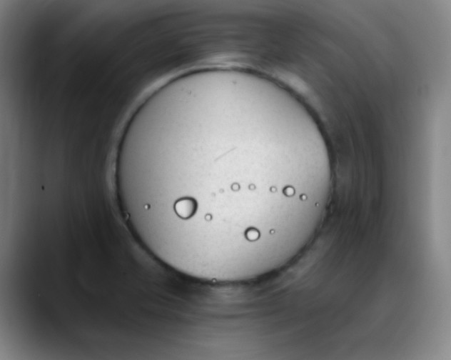 X0000089851421200707121709