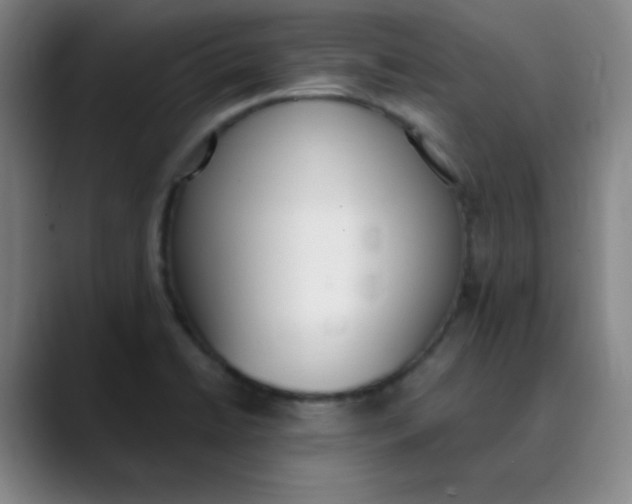 X0000089851422200707121709