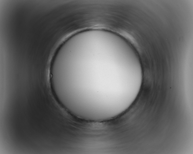 X0000089851424200707121709