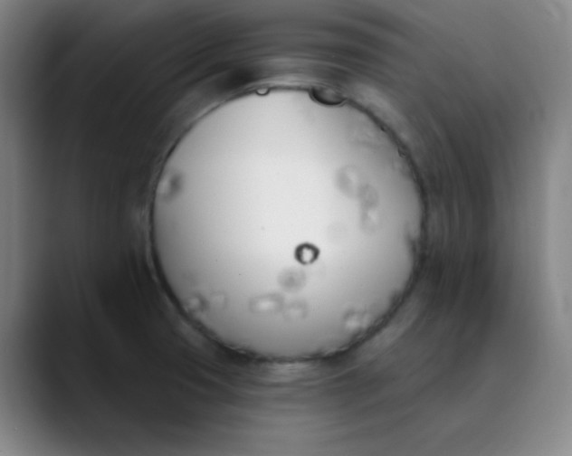 X0000089851425200707121709