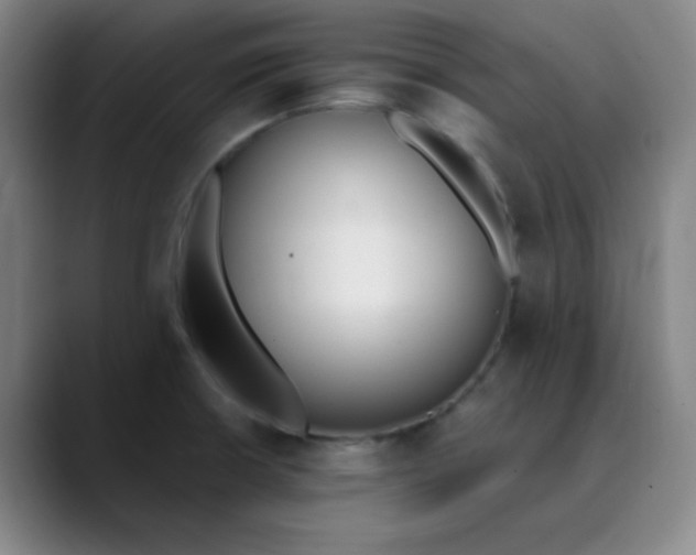 X0000089851426200707121709