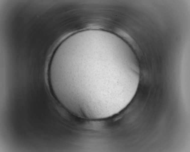 X0000089851427200707121710