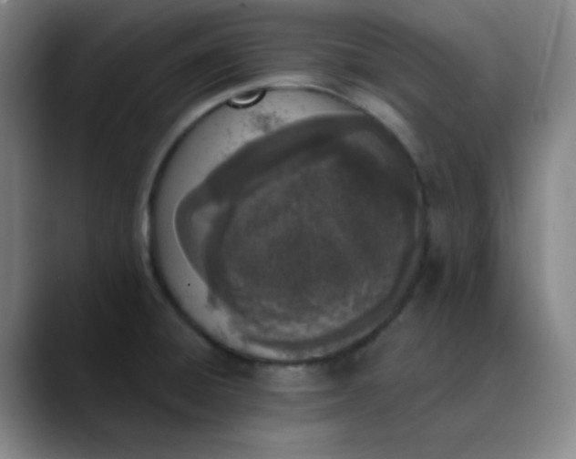 X0000089851428200707121710