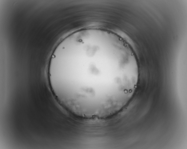X0000089851429200707121710