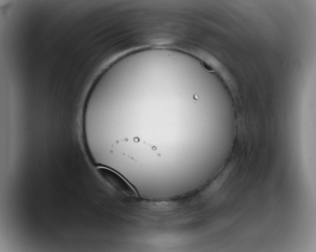 X0000089851432200707121710