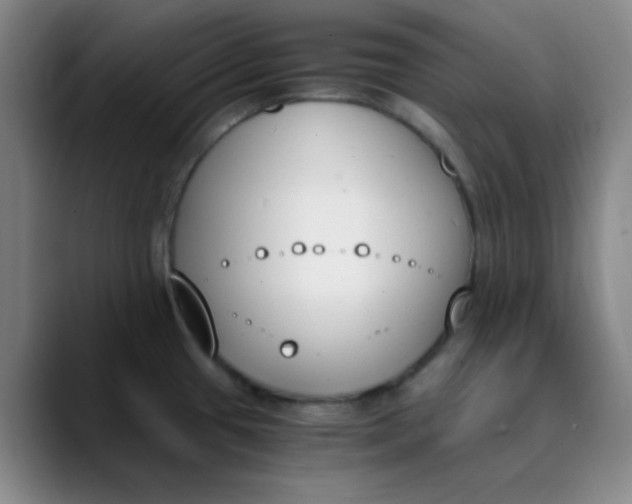 X0000089851433200707121710