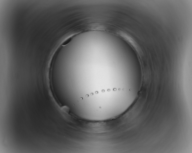 X0000089851434200707121710