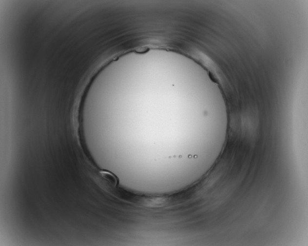 X0000089851435200707121710