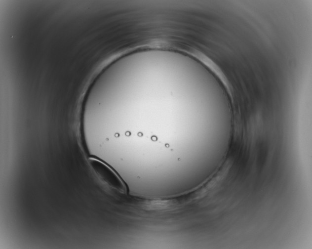 X0000089851437200707121710