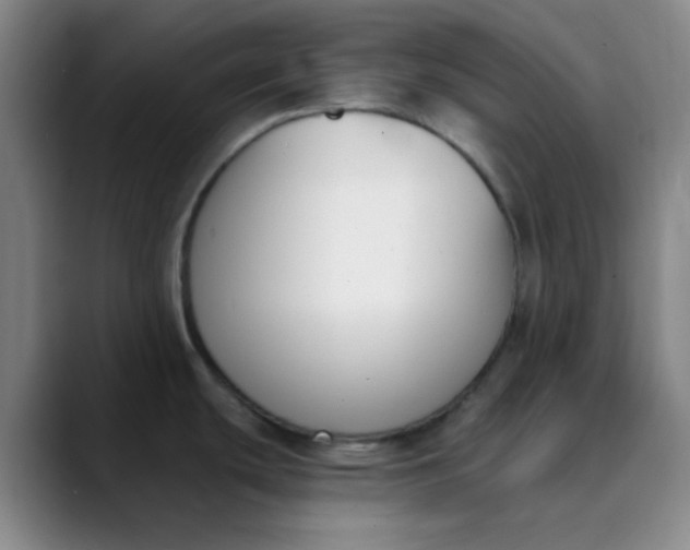 X0000089851439200707121710