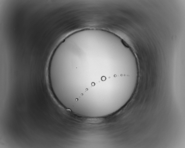 X0000089851440200707121710