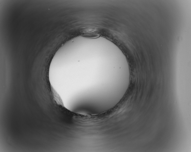 X0000089851441200707121709
