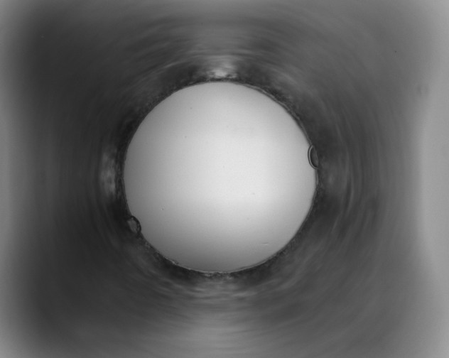 X0000089851442200707121709