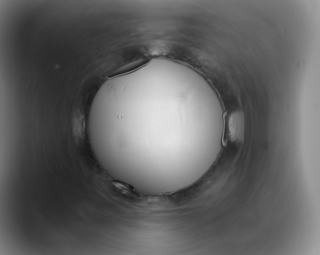 X0000089851443200707121709