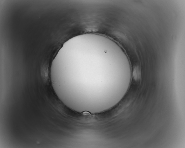 X0000089851444200707121709