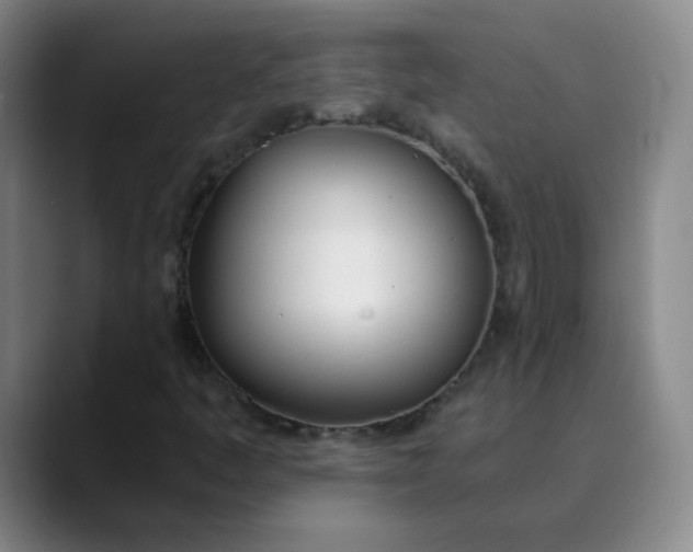 X0000089851445200707121709