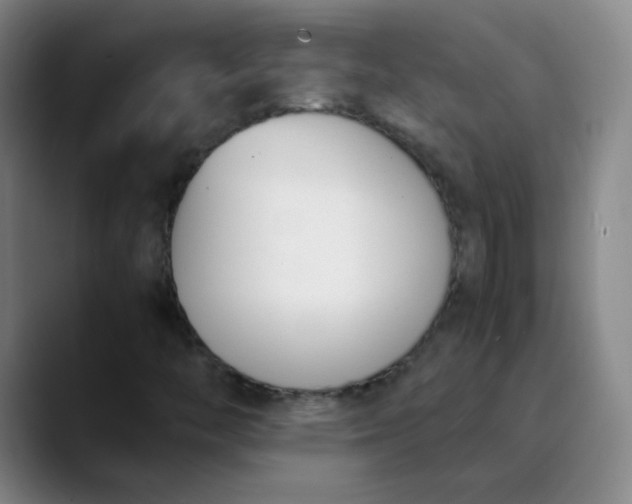 X0000089851446200707121709