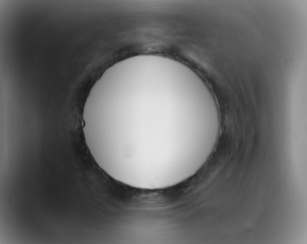 X0000089851447200707121709