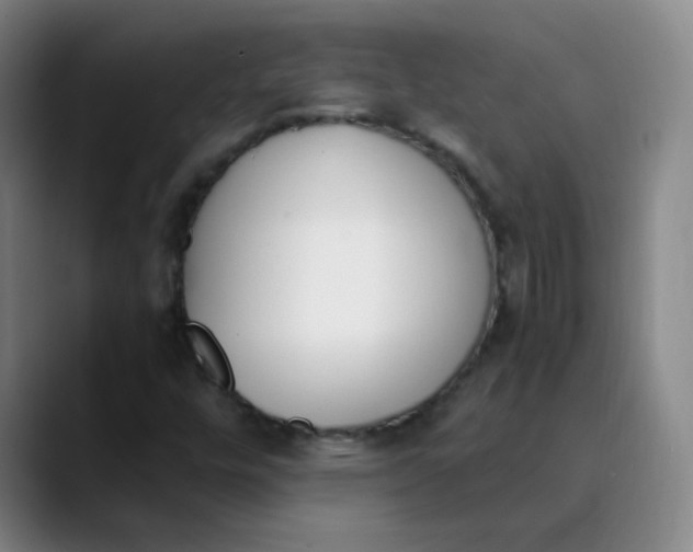 X0000089851448200707121709