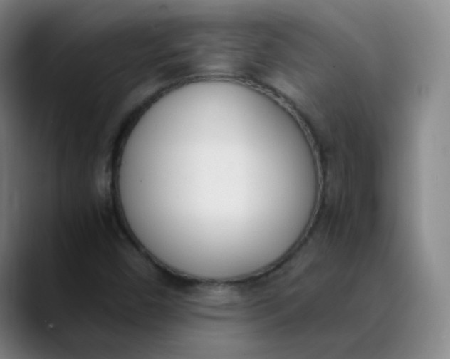 X0000089851450200707121709