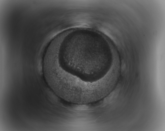 X0000089851455200707121709