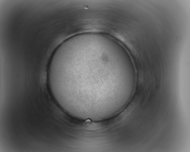X0000089851459200707121709