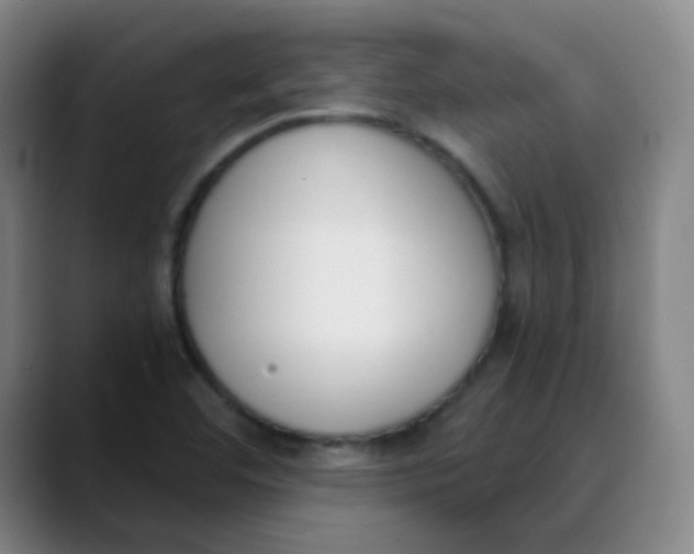 X0000089851460200707121709