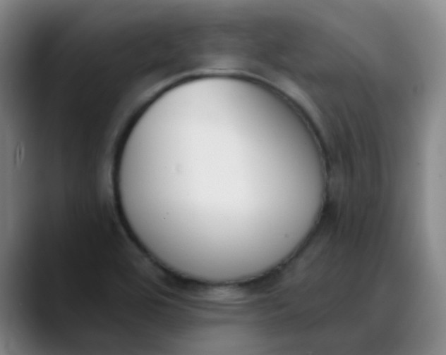 X0000089851464200707121709