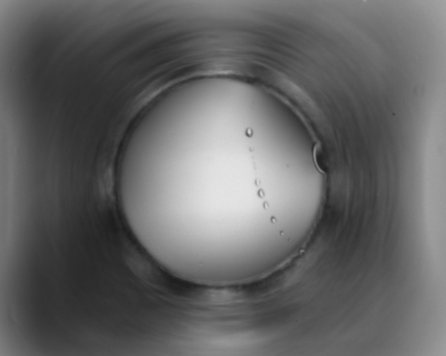 X0000089851465200707121709