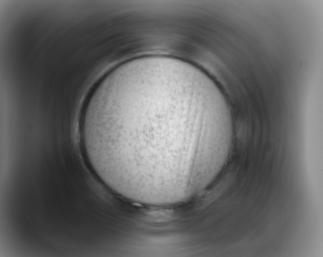 X0000089851466200707121709