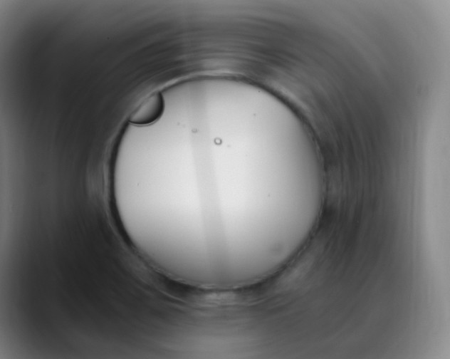 X0000089851467200707121709