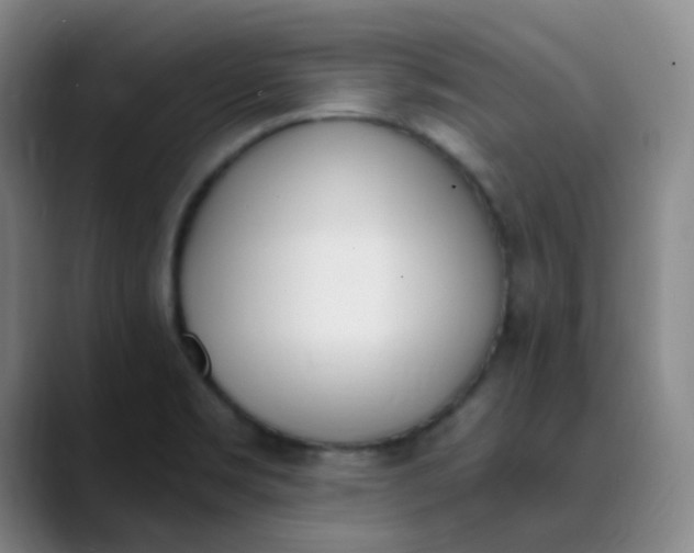X0000089851469200707121709