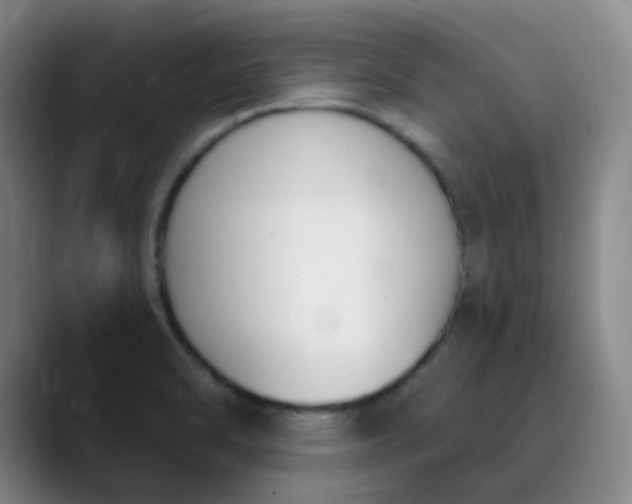 X0000089851470200707121709