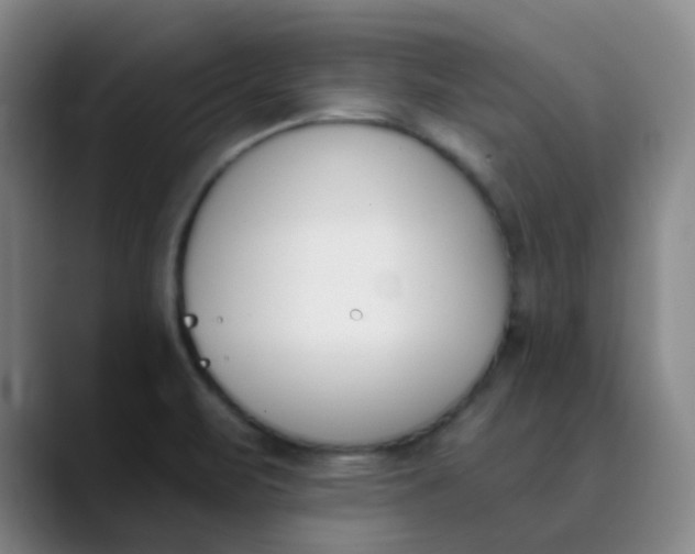X0000089851471200707121709