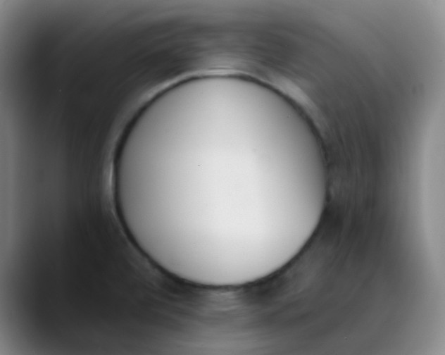 X0000089851472200707121709