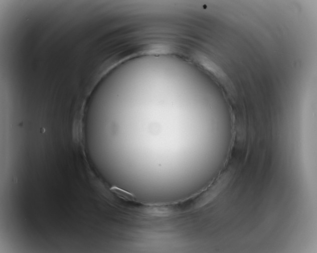 X0000089851473200707121709