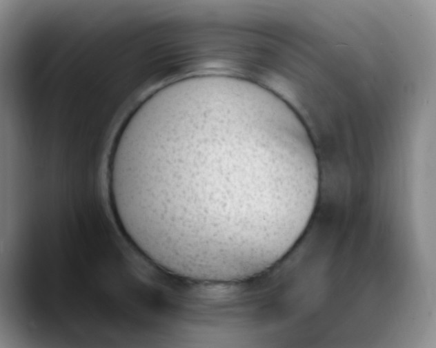 X0000089851474200707121709