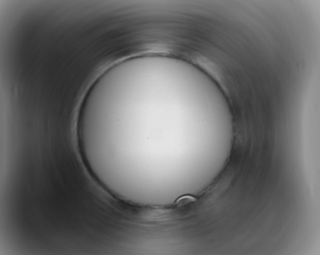X0000089851475200707121709