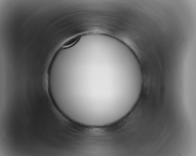 X0000089851476200707121709