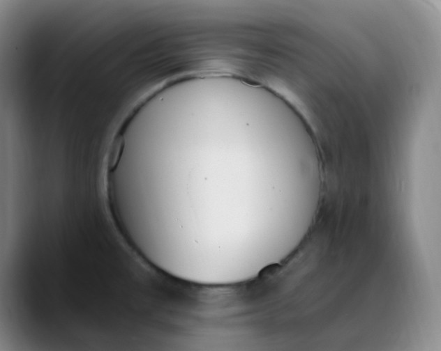 X0000089851477200707121709